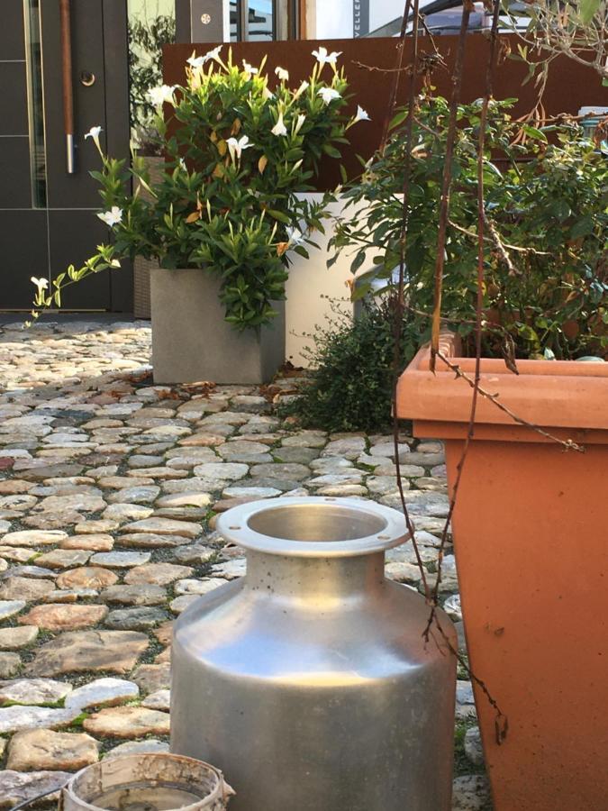 Schmuckkaestle Am Hafen Apartamento Wiesbaden
